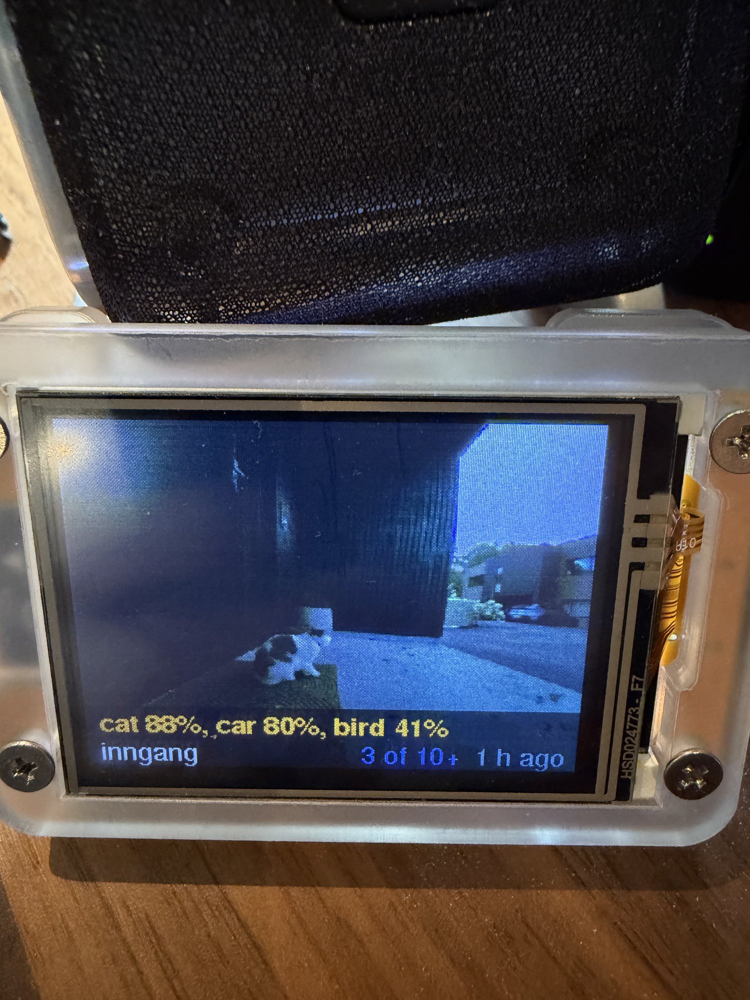 The photo frame showing the cat by the door, labelled cat 88%, car 80%, bird 41%