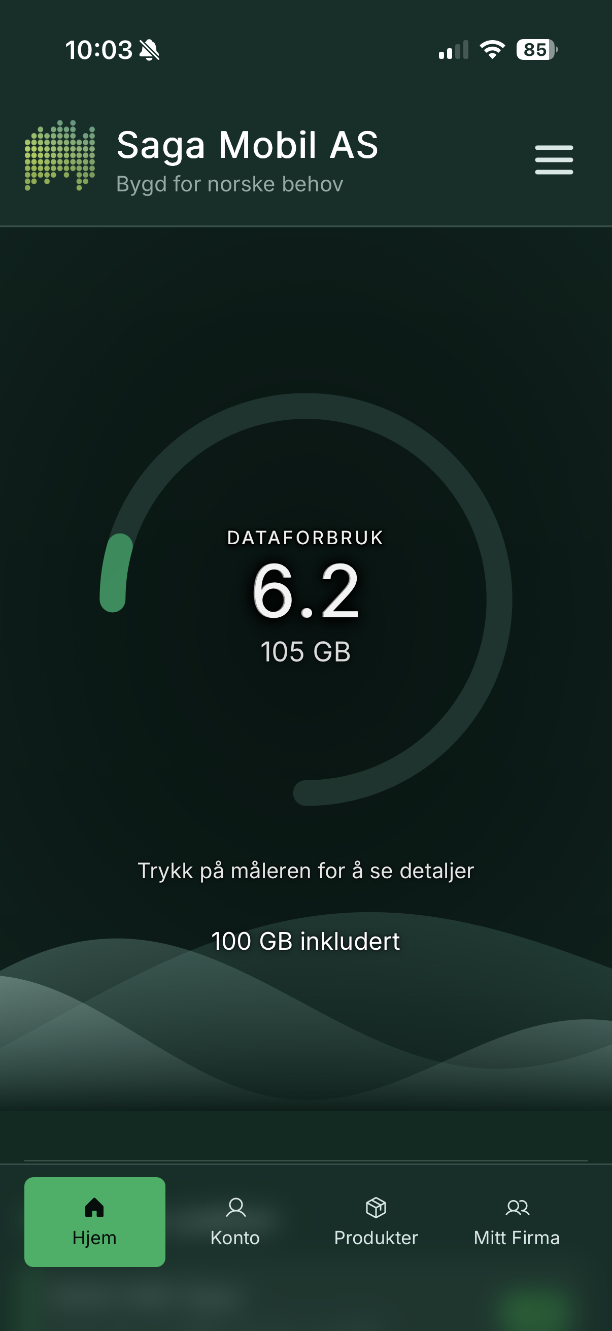 The aurora-themed data usage dashboard