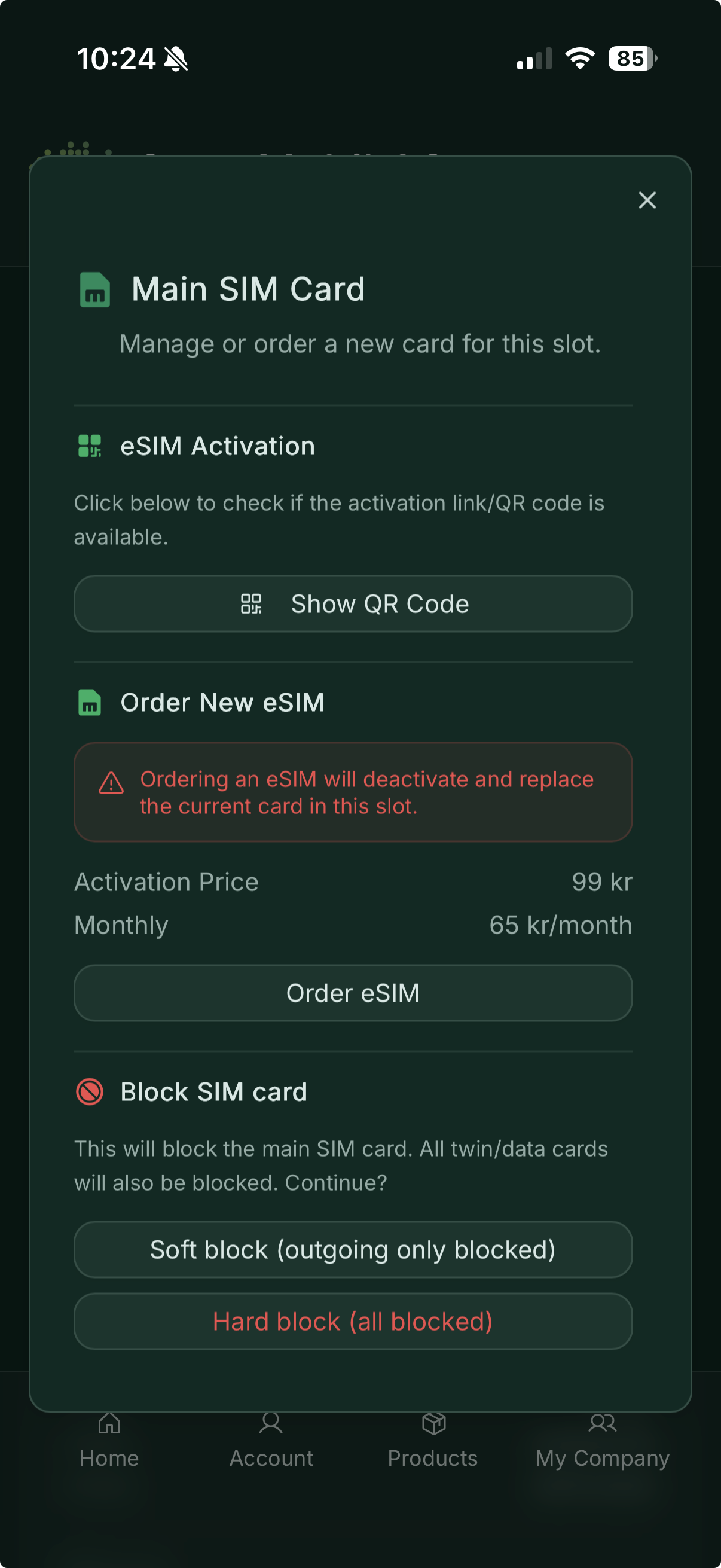 SIM cards screen with eSIM and physical card options